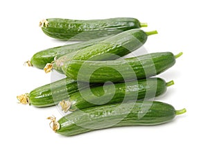 Lebanese Cucumber