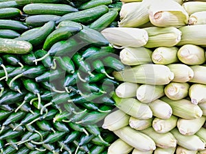 Lebanese Cucumbers and Corn Cobs in Shop
