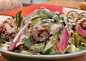 Lebanese Egyptian falafel salad plate