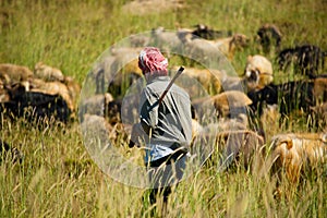 Lebanese Goatherder