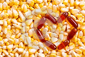 Lecithin gel pills capsule with corn background