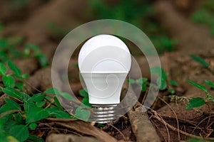 LED bulb in the forest nature background - Concept of saving energy