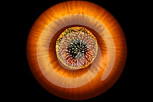 LED bulb with interesting patterns, orange