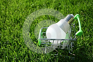 LED bulb in a mini shopping basket in the grass as a concept for saving electricity, new ideas