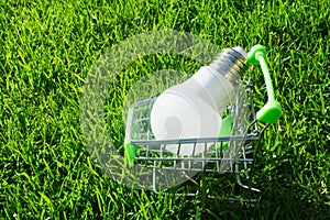 LED bulb in a mini shopping basket in the grass as a concept for saving electricity, new ideas