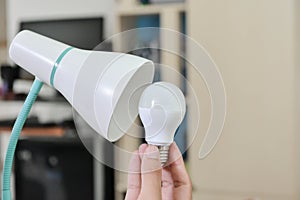 LED bulb - Selected the bulb to use with electric lamp