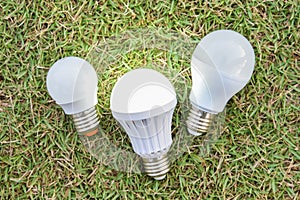 LED Bulbs with lighting on the green grass