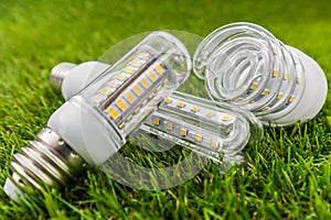 LED bulbs similar shape as CFL in the green grass