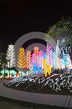 LED decorated garden