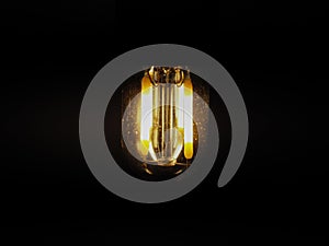 LED filament light bulb