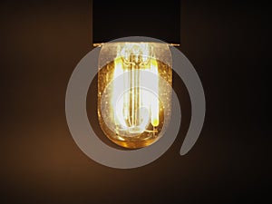 LED filament light bulb