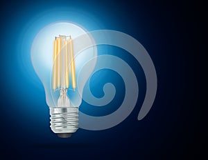 LED filament light bulb (E27)