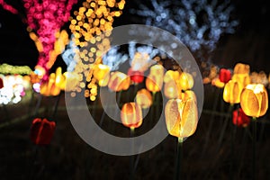 LED flowers garden at night