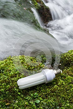 LED on a green moss