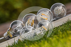 LED, halogen and tungsten bulbs on solar panel, some on the grass