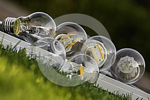 LED, halogen and tungsten bulbs on solar panel, some on the grass