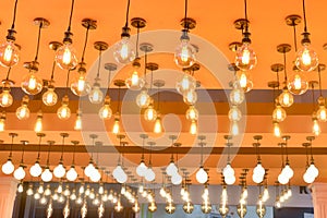 led Lamp bulbs