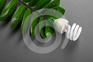 LED lamp with green leaf, ECO energy concept, close up. Light bulb on grey background. Saving and Ecological Environment. Copy sp