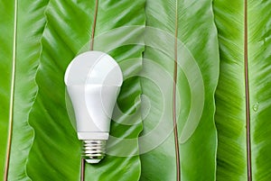 LED light bulb