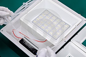 LED light bulb production factory, the production process of light-emitting diodes