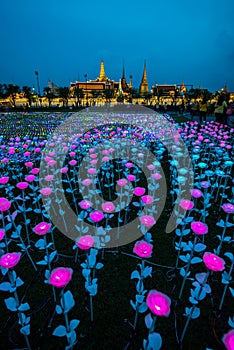 LED light decorations in Bangkok to celebrate the Coronation of King Rama X