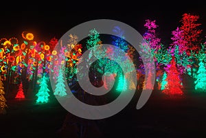 Led Light Festival