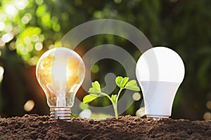 led and lightbulb with young plant on soil. concept saving energy