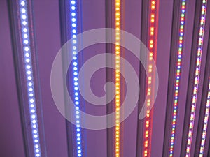 LED lights rainbow