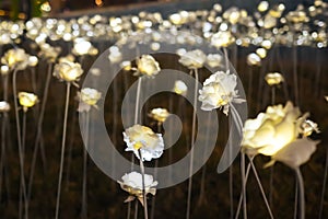 LED roses glowing in the dark with blur roses and bokeh background