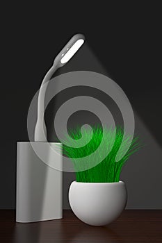 Led USB Lamp with Powerbank and Grass in Planter. 3d Rendering