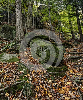 Ledges Cuyahoga Valley National Park