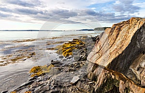 Ledges and rocks on a beach in Maine in the morning light