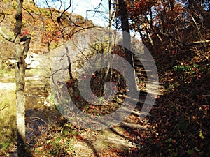 Ledges State Park in Autumn photo