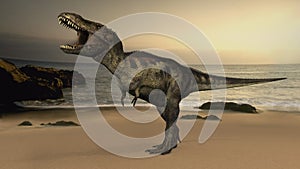 T-Rex Tyrannosaurus Rex dinosaur photo