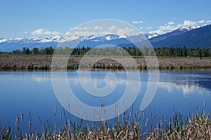 Lee Metcalf Wildlife Refuge - Montana