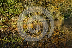 The Leeds liverpool canal at Aspull in Wigan, Lancashire