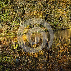 The Leeds liverpool canal at Aspull in Wigan, Lancashire