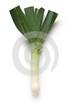 Leek