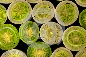 Leek cuttings in green and white