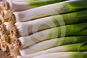 Leek