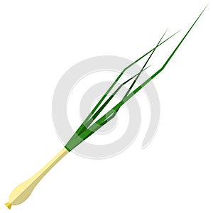Leek icon, flat vector isolated illustration. Green onion. Farm fresh vegetable. Healthy food.