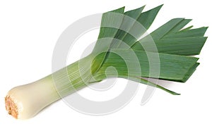 leek isolated on white background. full depth of field