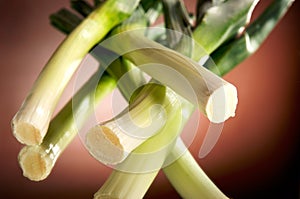 Leek on mirror with brown background