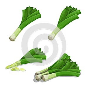 Leek set in flat cartoon style. Single whole and group vegetables. Farm fresh products. Organic healthy food. Vector illustrations