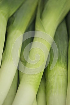 Leek vegetables in supermarket grocers