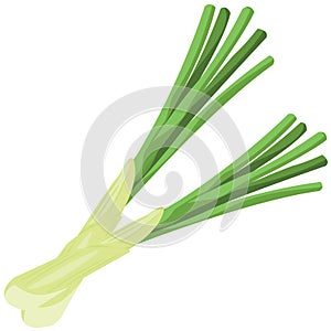 Leeks