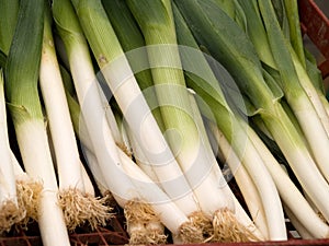 Leeks