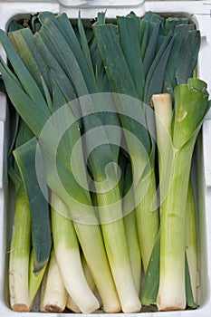 Leeks on display at the greengrocers photo