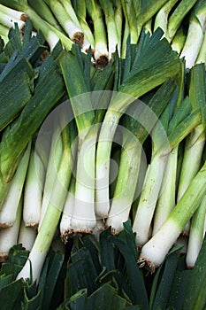 Leeks at the Market