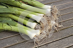 leeks with roots